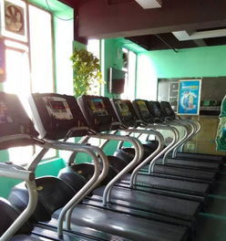 健身器材专业安装、维修与销售代理服务